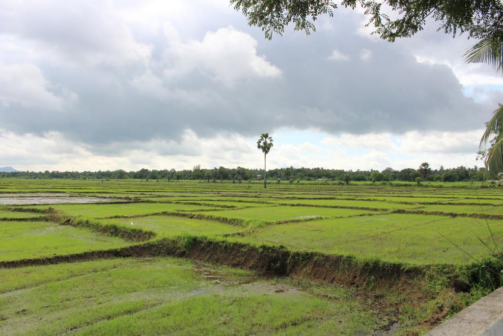Sunshine Tourist Rest Hotel Anuradhapura Bagian luar foto